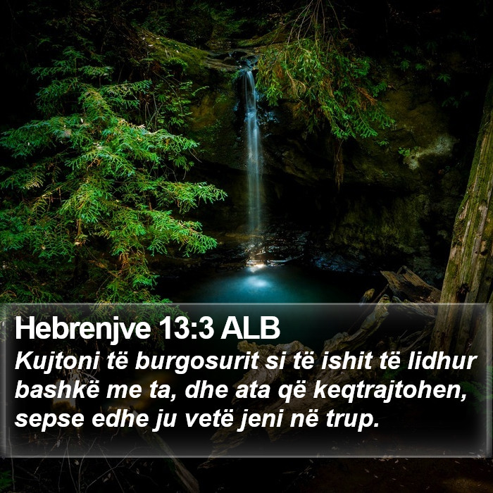Hebrenjve 13:3 ALB Bible Study