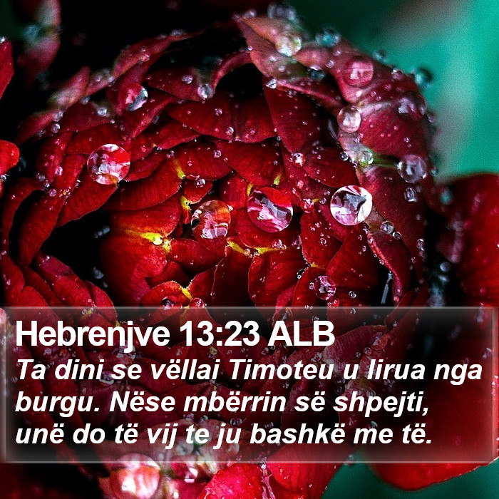 Hebrenjve 13:23 ALB Bible Study