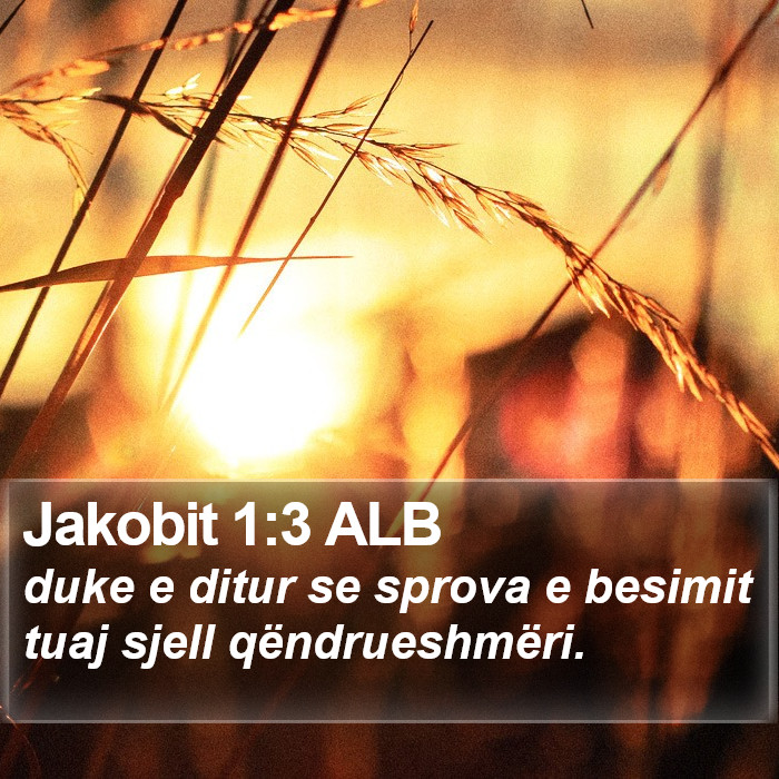 Jakobit 1:3 ALB Bible Study