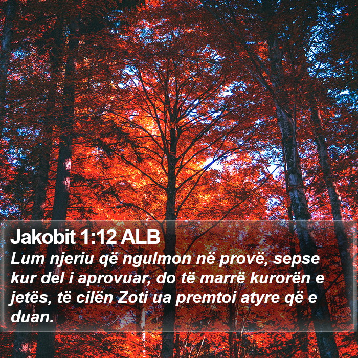 Jakobit 1:12 ALB Bible Study