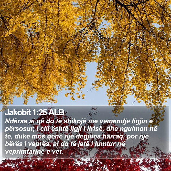 Jakobit 1:25 ALB Bible Study