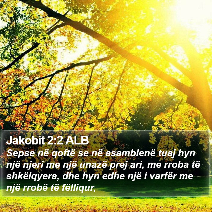 Jakobit 2:2 ALB Bible Study