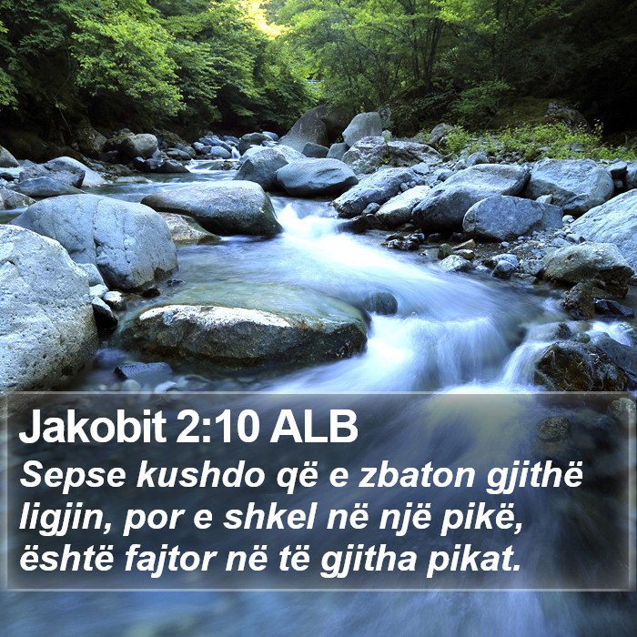 Jakobit 2:10 ALB Bible Study