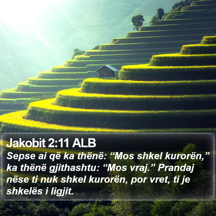Jakobit 2:11 ALB Bible Study
