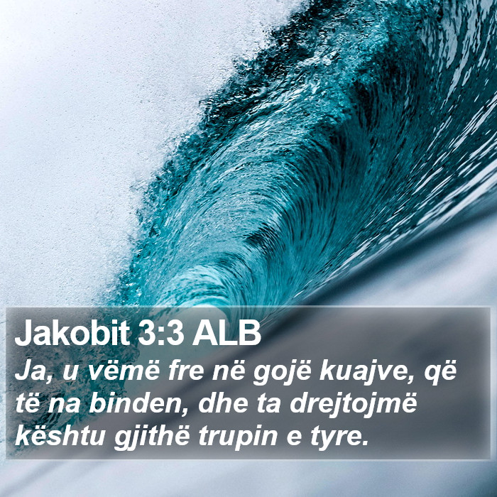 Jakobit 3:3 ALB Bible Study