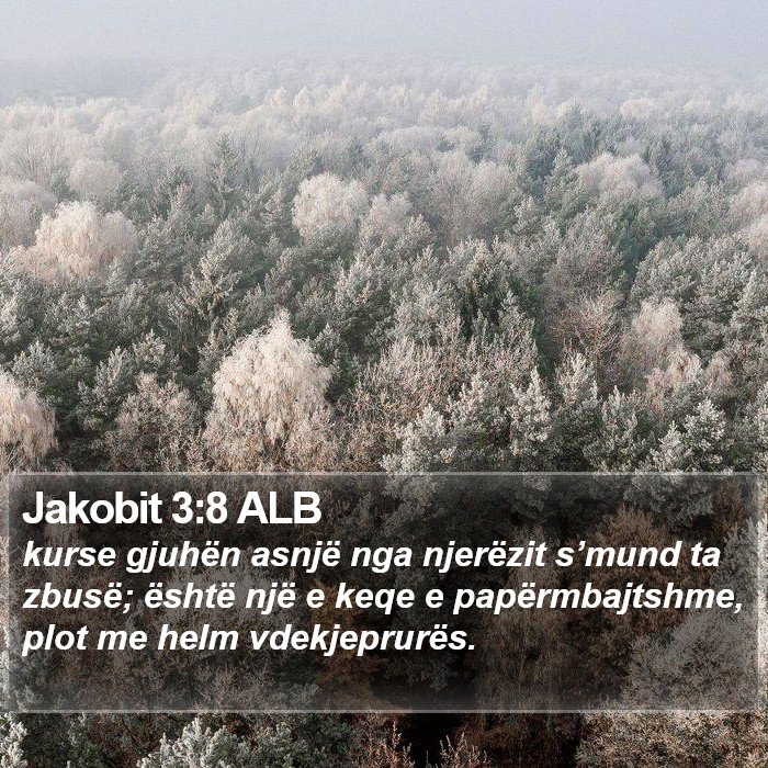 Jakobit 3:8 ALB Bible Study