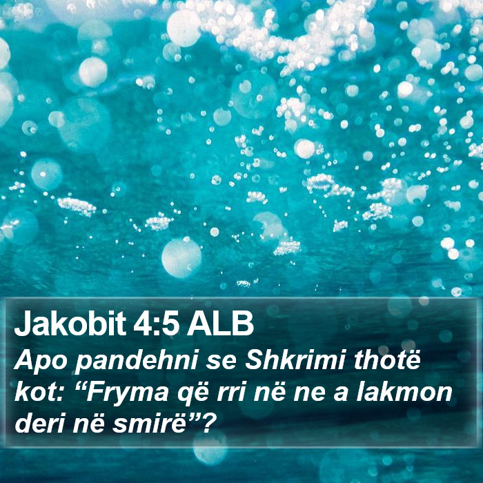 Jakobit 4:5 ALB Bible Study
