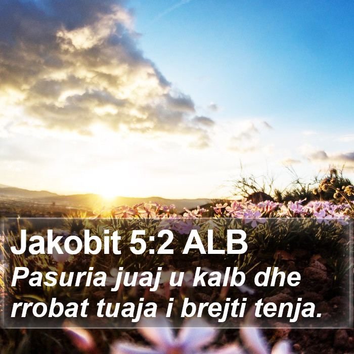 Jakobit 5:2 ALB Bible Study