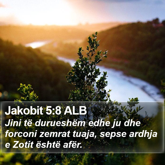 Jakobit 5:8 ALB Bible Study
