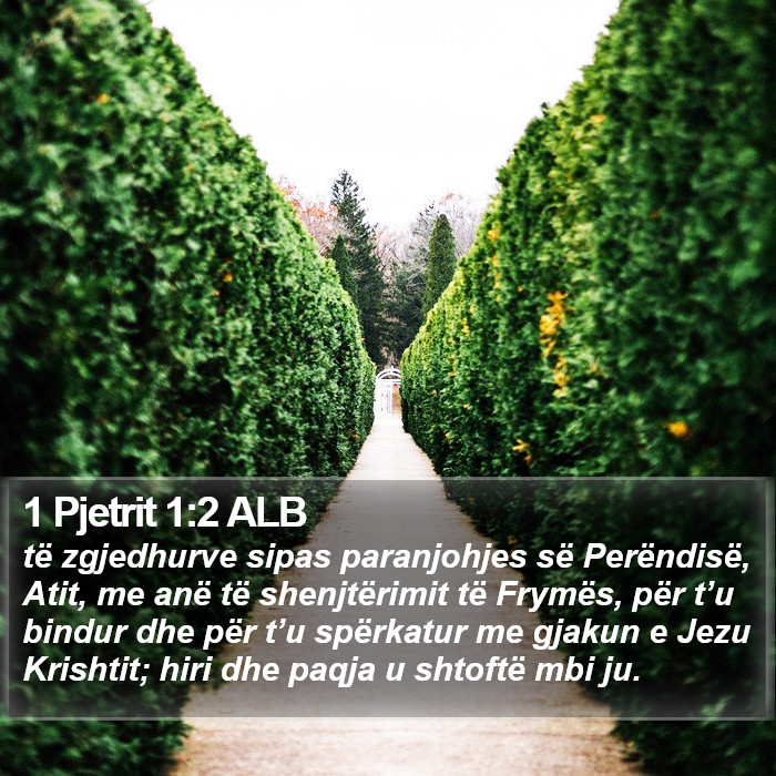 1 Pjetrit 1:2 ALB Bible Study