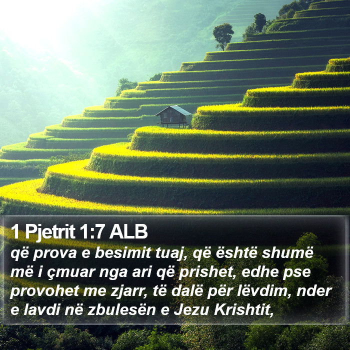 1 Pjetrit 1:7 ALB Bible Study