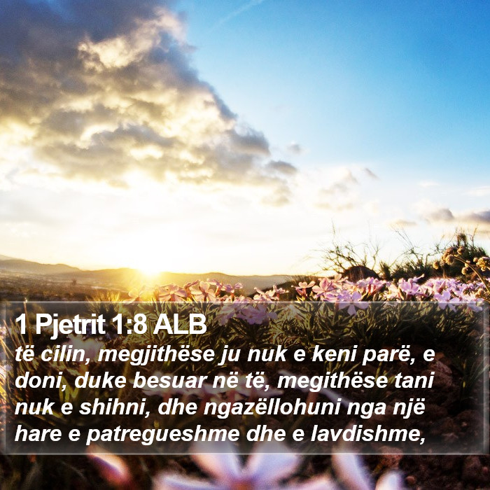 1 Pjetrit 1:8 ALB Bible Study