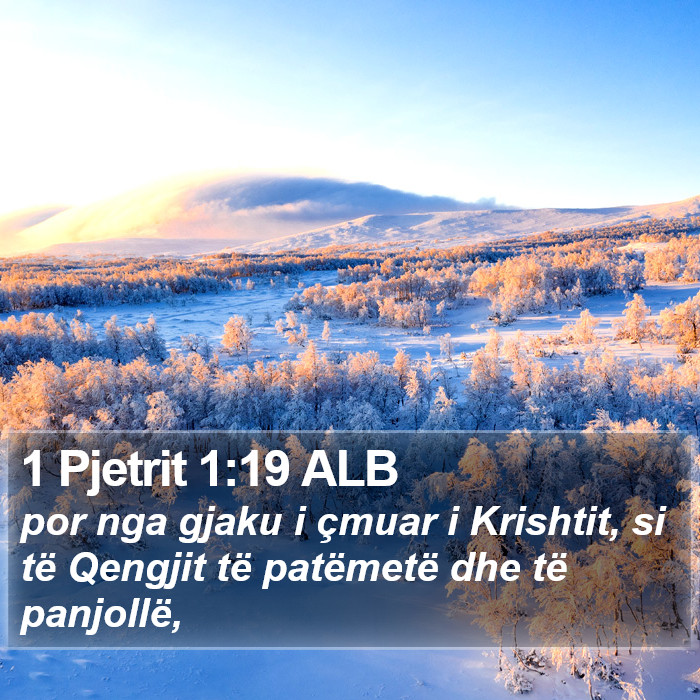 1 Pjetrit 1:19 ALB Bible Study