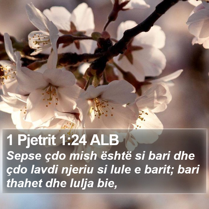 1 Pjetrit 1:24 ALB Bible Study