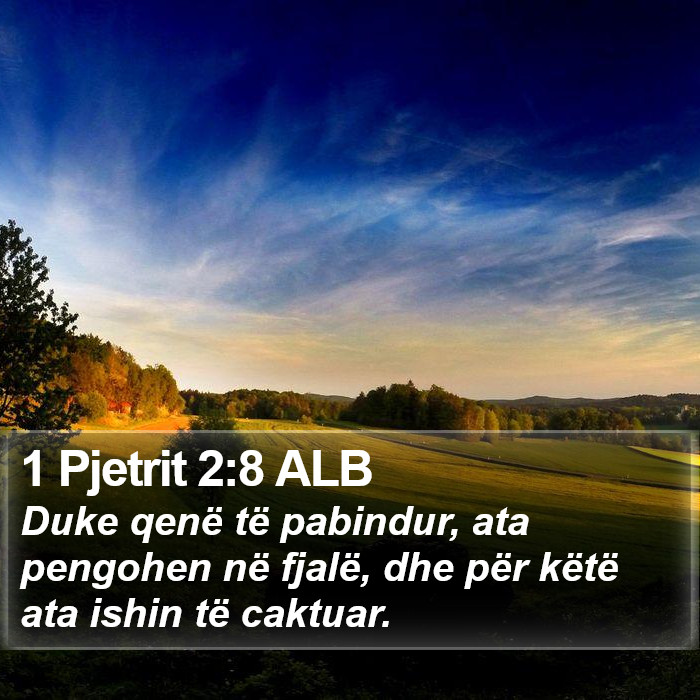 1 Pjetrit 2:8 ALB Bible Study
