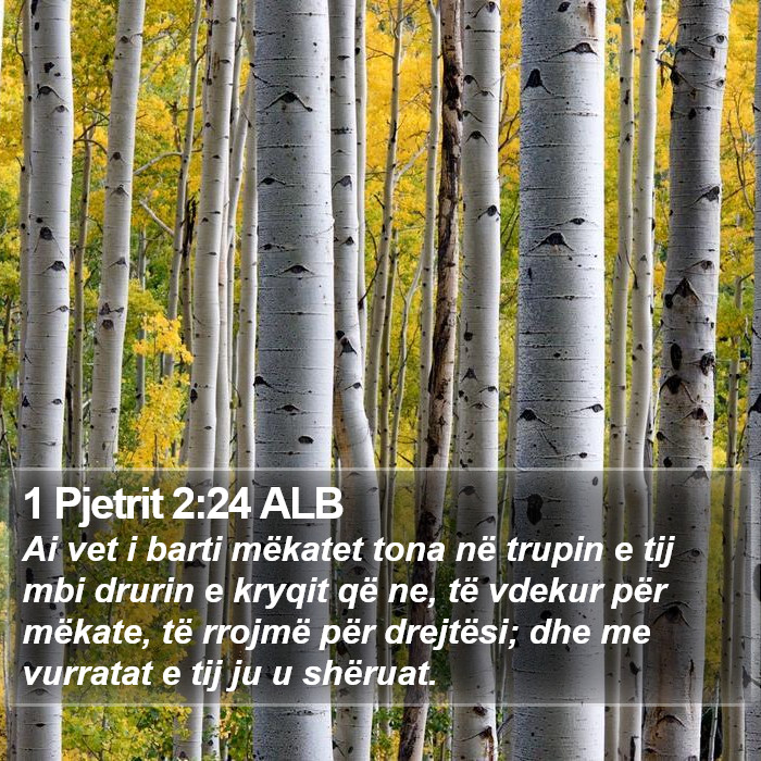 1 Pjetrit 2:24 ALB Bible Study