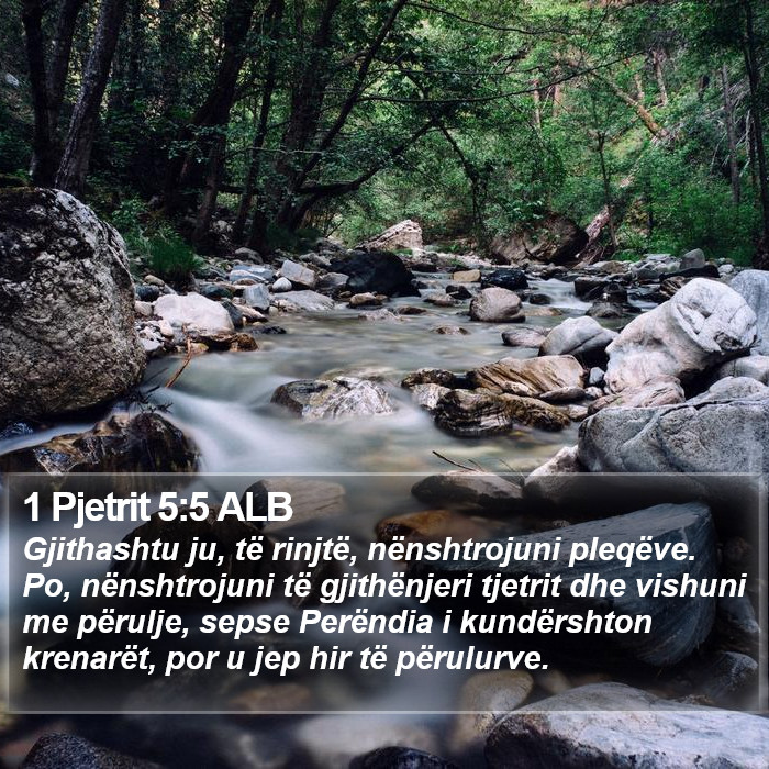 1 Pjetrit 5:5 ALB Bible Study