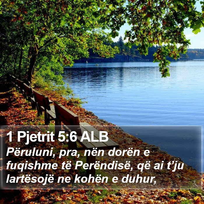 1 Pjetrit 5:6 ALB Bible Study