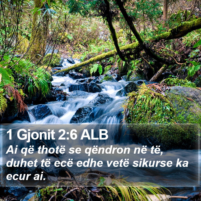 1 Gjonit 2:6 ALB Bible Study