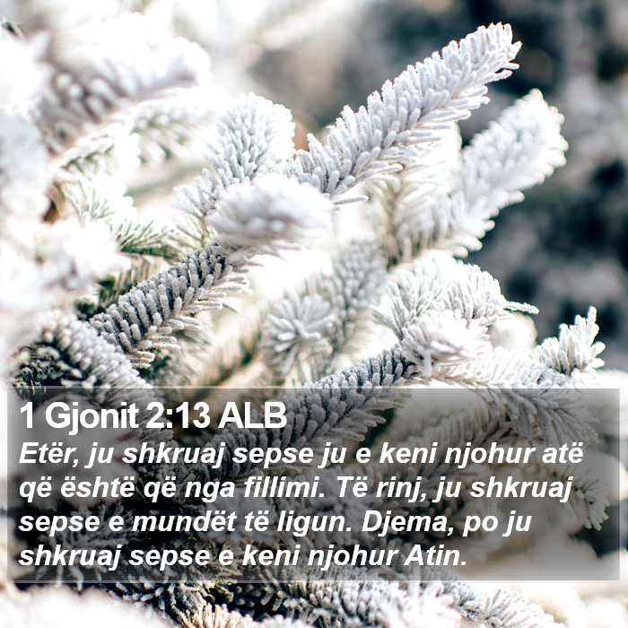 1 Gjonit 2:13 ALB Bible Study