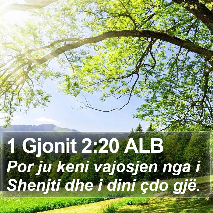 1 Gjonit 2:20 ALB Bible Study