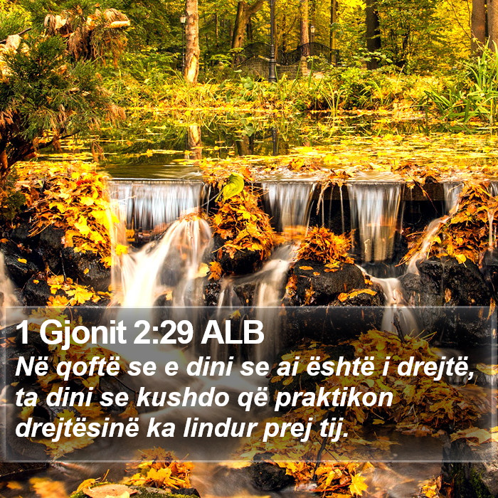 1 Gjonit 2:29 ALB Bible Study