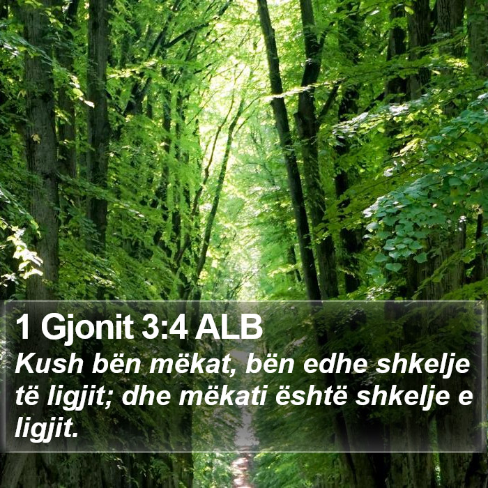 1 Gjonit 3:4 ALB Bible Study