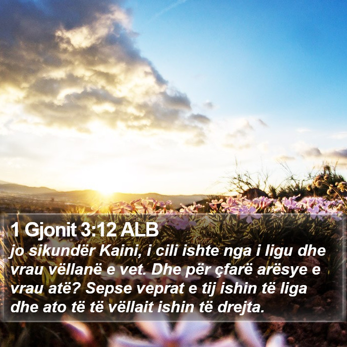 1 Gjonit 3:12 ALB Bible Study