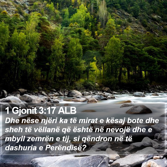 1 Gjonit 3:17 ALB Bible Study