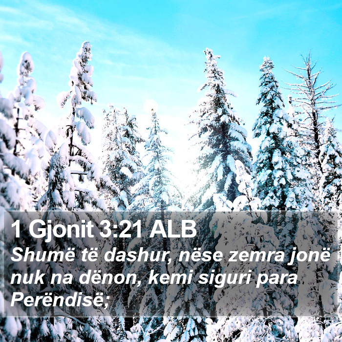 1 Gjonit 3:21 ALB Bible Study