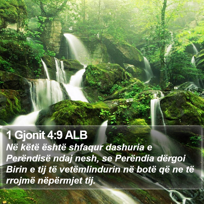 1 Gjonit 4:9 ALB Bible Study