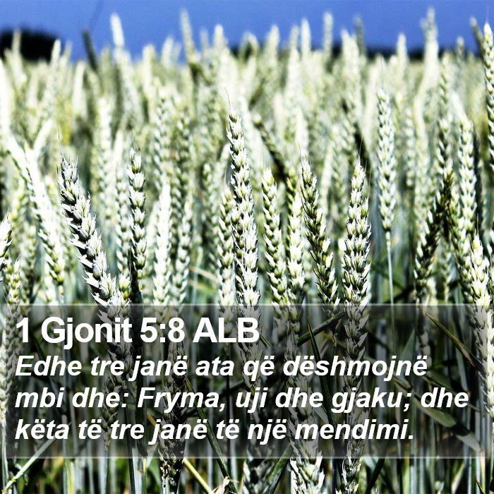 1 Gjonit 5:8 ALB Bible Study