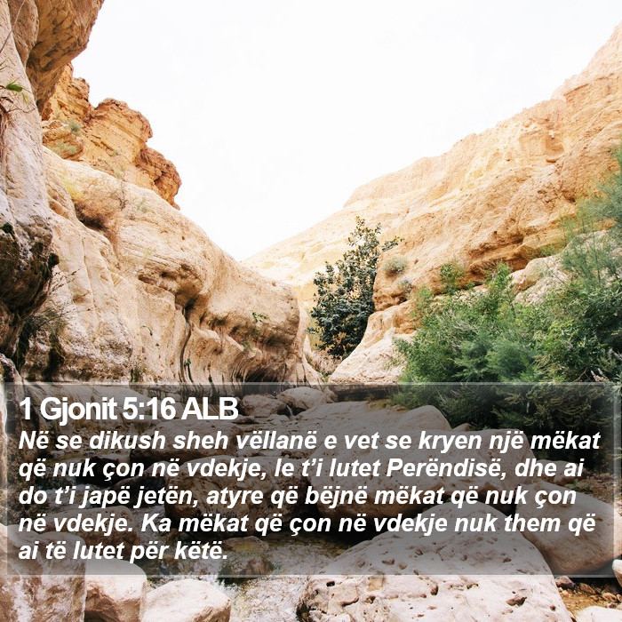 1 Gjonit 5:16 ALB Bible Study