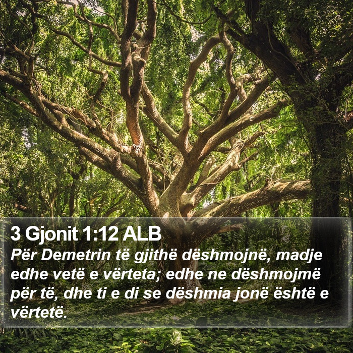 3 Gjonit 1:12 ALB Bible Study