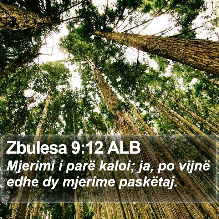 Zbulesa 9:12 ALB Bible Study