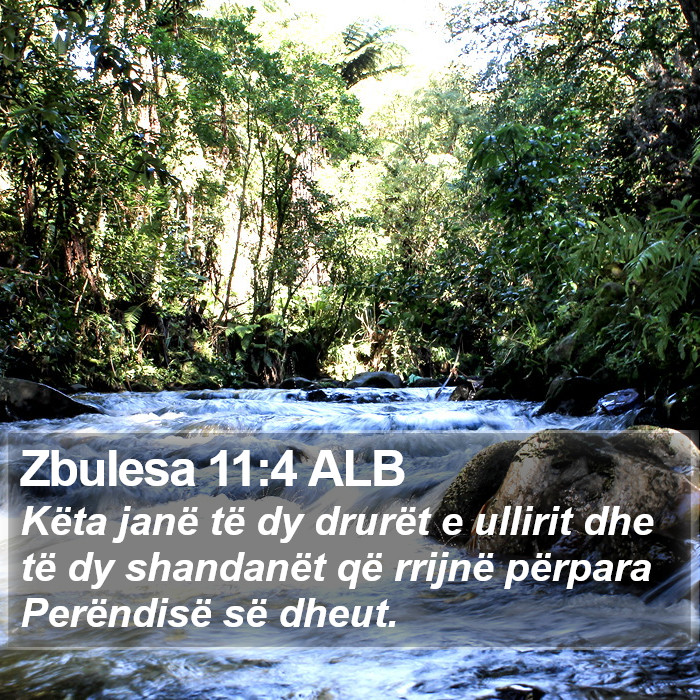 Zbulesa 11:4 ALB Bible Study