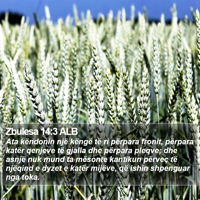 Zbulesa 14:3 ALB Bible Study