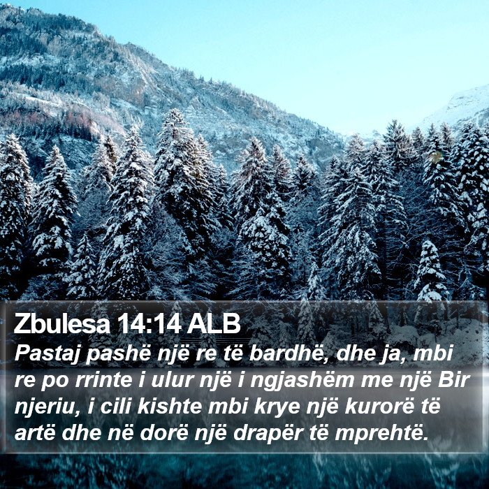 Zbulesa 14:14 ALB Bible Study